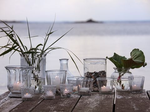 Glass, Serveware, Drinkware, Transparent material, Flowerpot, Vase, Still life photography, Aquatic plant, Home accessories, 