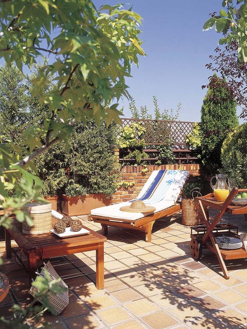 Furniture, Outdoor furniture, Sunlounger, Garden, Backyard, Outdoor table, Patio, Shade, Armrest, Flowerpot, 