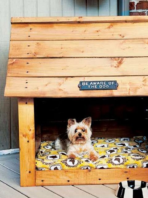 Canidae, Dog, Yorkshire terrier, Furniture, Wood, Crate, Table, Carnivore, Dog crate, 