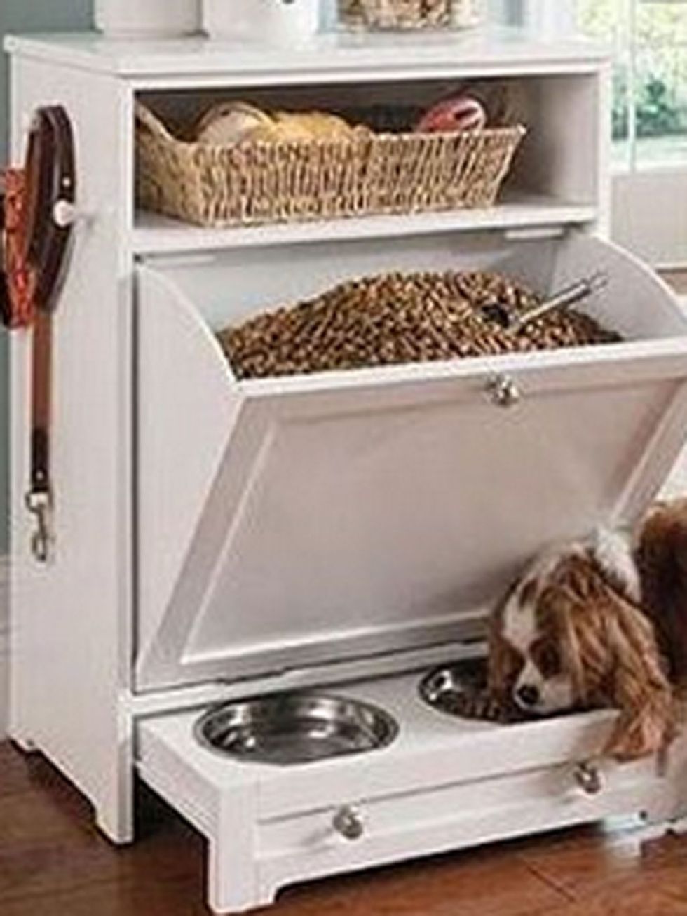 Cómo adaptar espacios para perros en casa? – The Home Depot Blog
