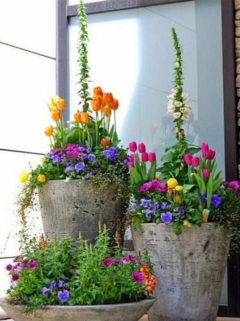 Flower, Floristry, Flowerpot, Plant, Flower Arranging, Floral design, Houseplant, Spring, Botany, Annual plant, 