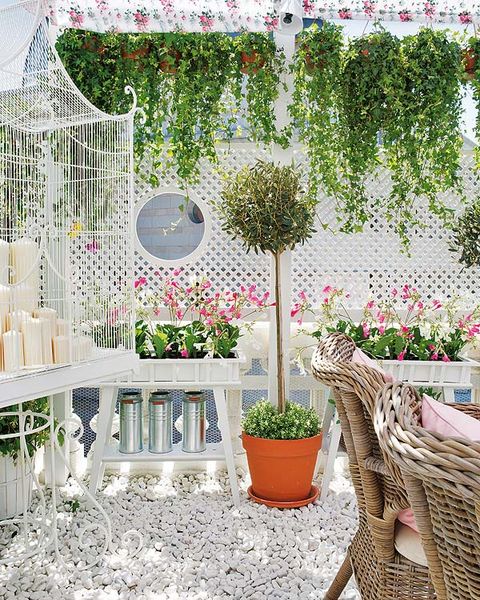 Flowerpot, Interior design, Wicker, Garden, Houseplant, Annual plant, Outdoor furniture, Outdoor table, 