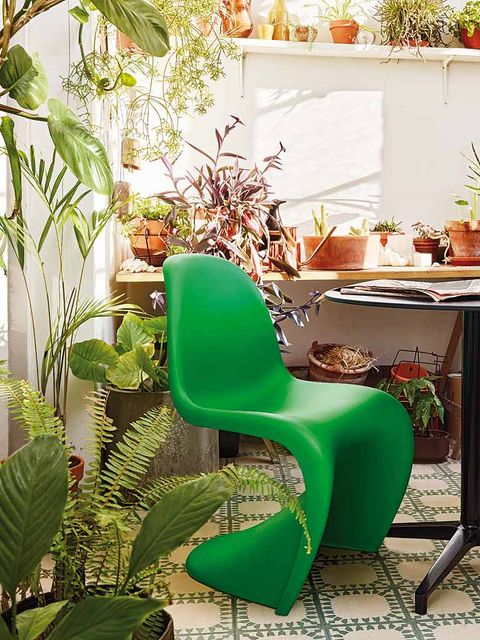 Green, Interior design, Furniture, Chair, Interior design, Houseplant, Home, Flowerpot, Design, Peach, 