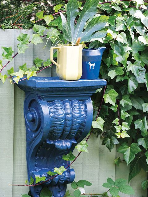 Blue, Flowerpot, Majorelle blue, Plant, Flower, Botany, Font, Garden, Houseplant, Ivy, 
