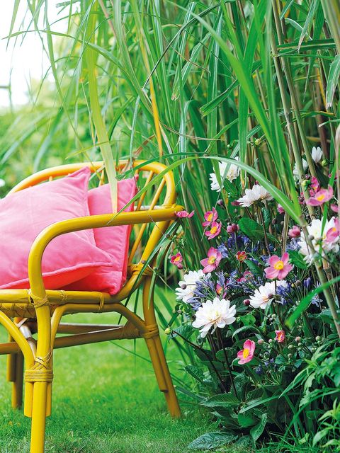 Green, Grass, Flower, Pink, Chair, Garden, Plant, Grass family, Botany, Spring, 