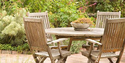 Chair, Furniture, Outdoor furniture, Outdoor table, Table, Botany, Garden, Patio, Armrest, Room, 
