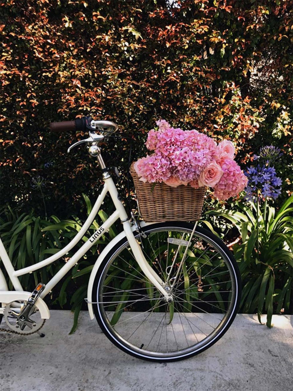 Bicycle tire, Bicycle fork, Bicycle wheel rim, Bicycle frame, Bicycle handlebar, Bicycle part, Bicycle accessory, Bicycle wheel, Bicycle saddle, Bicycle, 