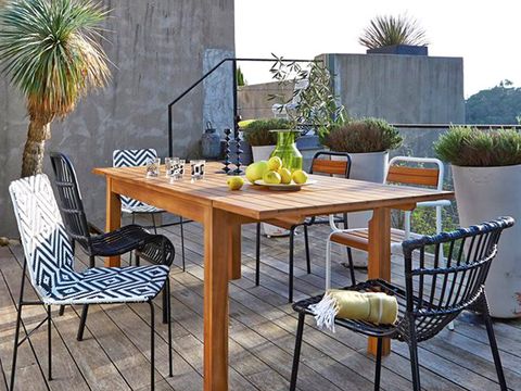 Plant, Furniture, Table, Flowerpot, Outdoor furniture, Outdoor table, Coffee table, Houseplant, Arecales, Design, 
