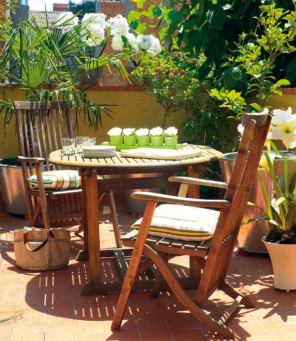 Chair, Furniture, Table, Outdoor table, Botany, Houseplant, Room, Patio, Flower, Plant, 