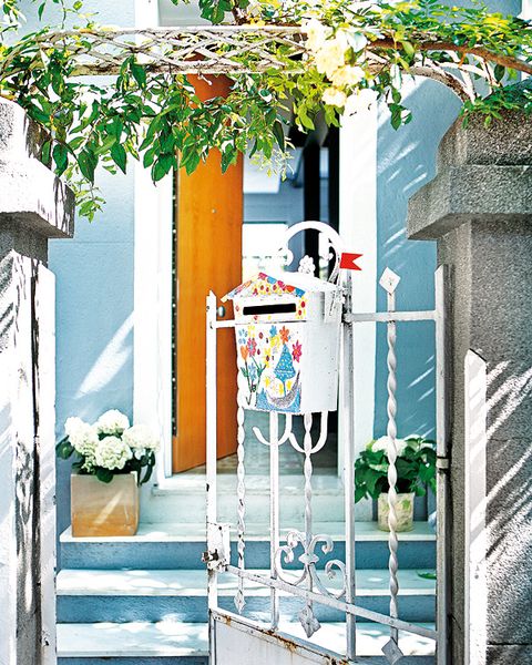 Flowerpot, House, Houseplant, Door, Home door, Paint, Porch, Flower Arranging, Balcony, Floral design, 