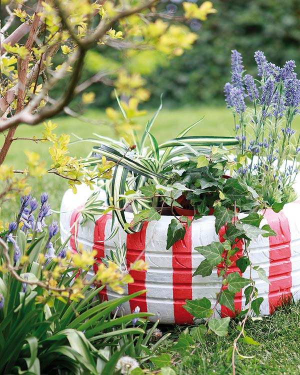 Plant, Flower, Flowering plant, Garden, Shrub, Spring, Annual plant, Wildflower, Herb, Botanical garden, 