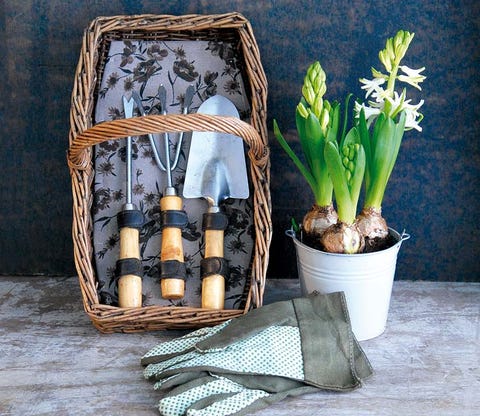 Flowerpot, Terrestrial plant, Flowering plant, Still life photography, Interior design, Basket, Vase, Houseplant, Plant stem, Flower Arranging, 