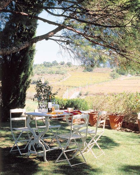 Branch, Outdoor furniture, Furniture, Outdoor table, Table, Garden, Chair, Backyard, Yard, Shade, 