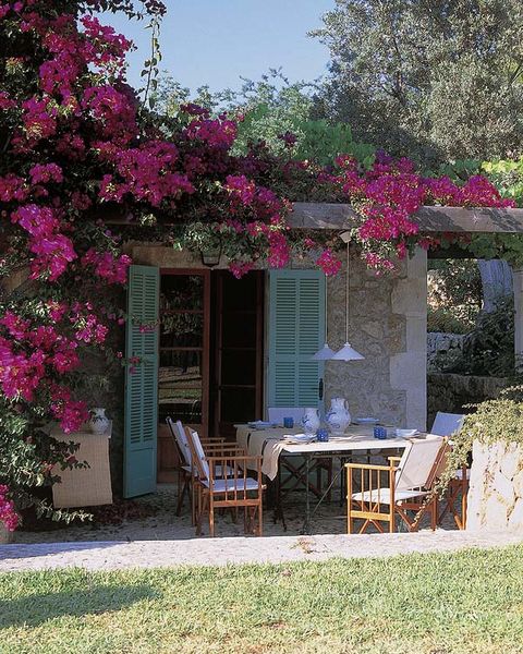 House, Pink, Shrub, Magenta, Flower, Petal, Door, Garden, Outdoor furniture, Outdoor table, 