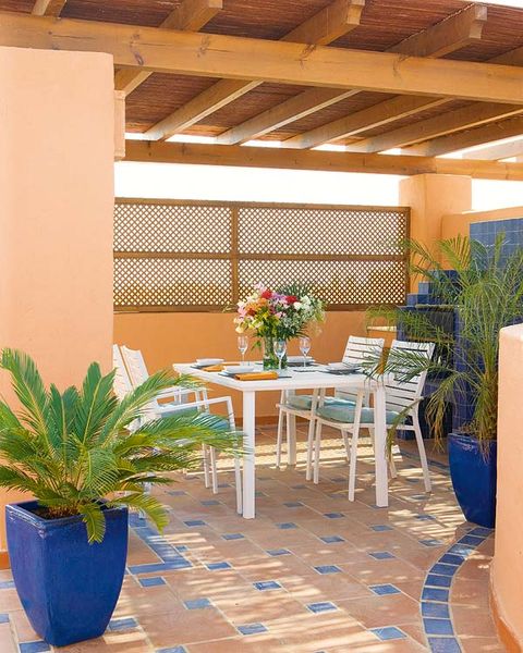 Plant, Flowerpot, Flooring, Floor, Interior design, Ceiling, Interior design, Majorelle blue, Houseplant, Vase, 