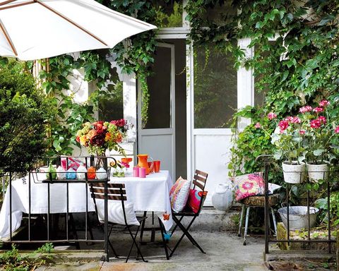 Plant, Furniture, Table, Flowerpot, Chair, Outdoor table, Outdoor furniture, Petal, Door, Linens, 