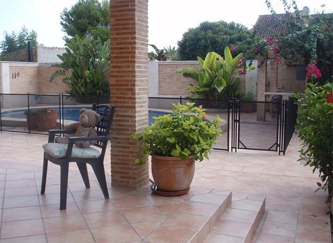 Plant, Flowerpot, Floor, Flooring, Shrub, Hardwood, Outdoor furniture, Garden, Houseplant, Courtyard, 