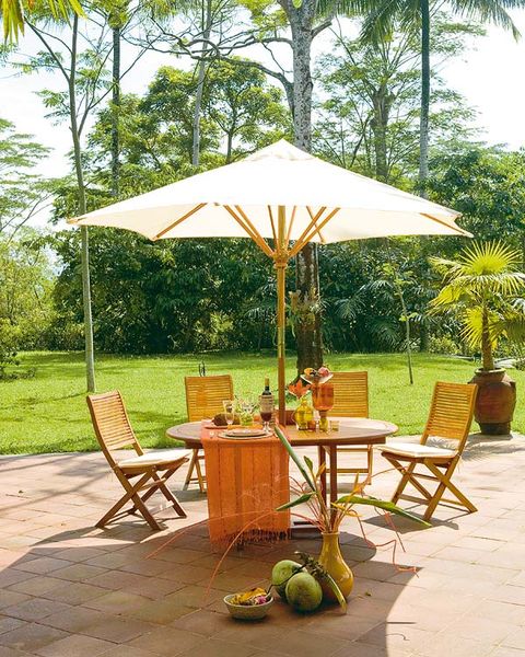 Table, Furniture, Outdoor furniture, Fruit, Outdoor table, Chair, Shade, Arecales, Natural foods, Produce, 