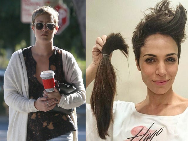 Las Famosas Se Cortan La Melena