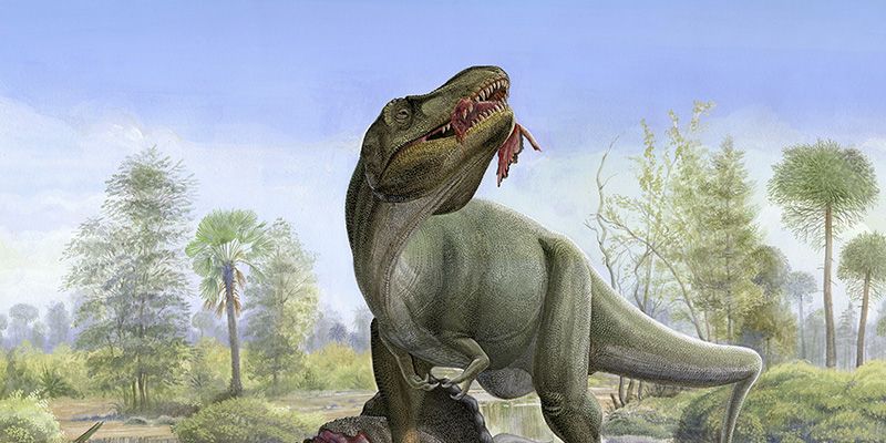 ¿A qué jugaban los T-Rex?