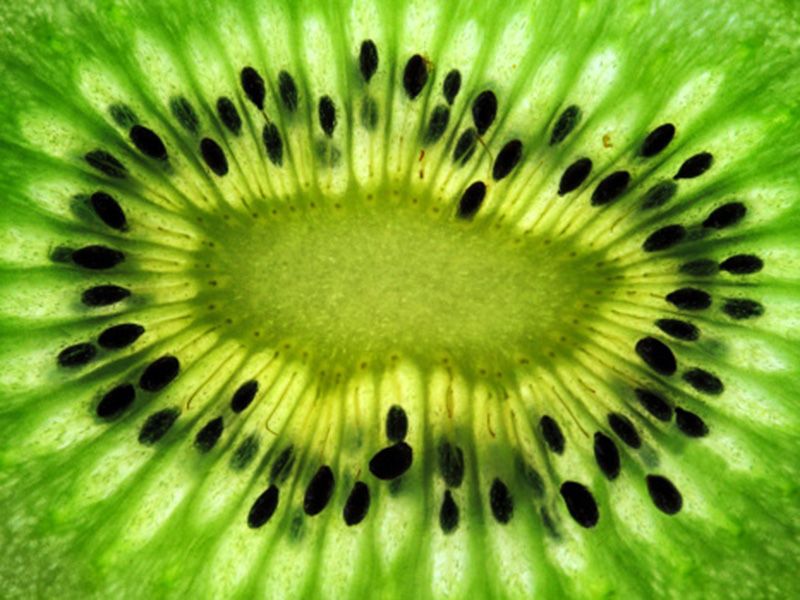 Kiwifruit, Green, Hardy kiwi, Plant, Close-up, Fruit, Flower, Macro photography, Organism, Terrestrial plant, 