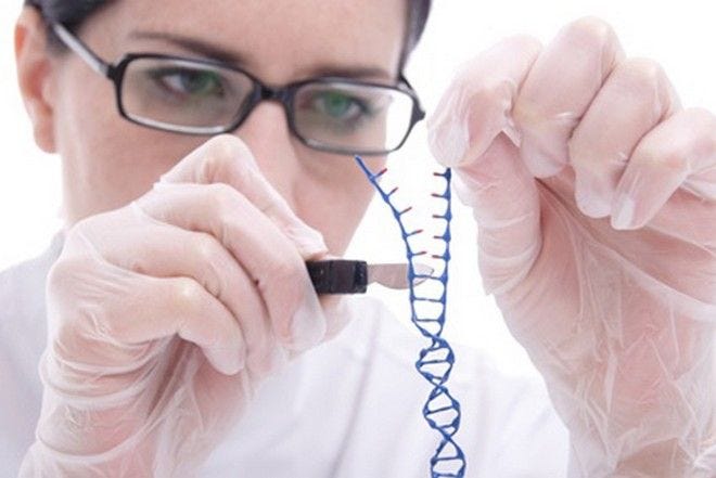 ¿La cura para las enfermedades genéticas?