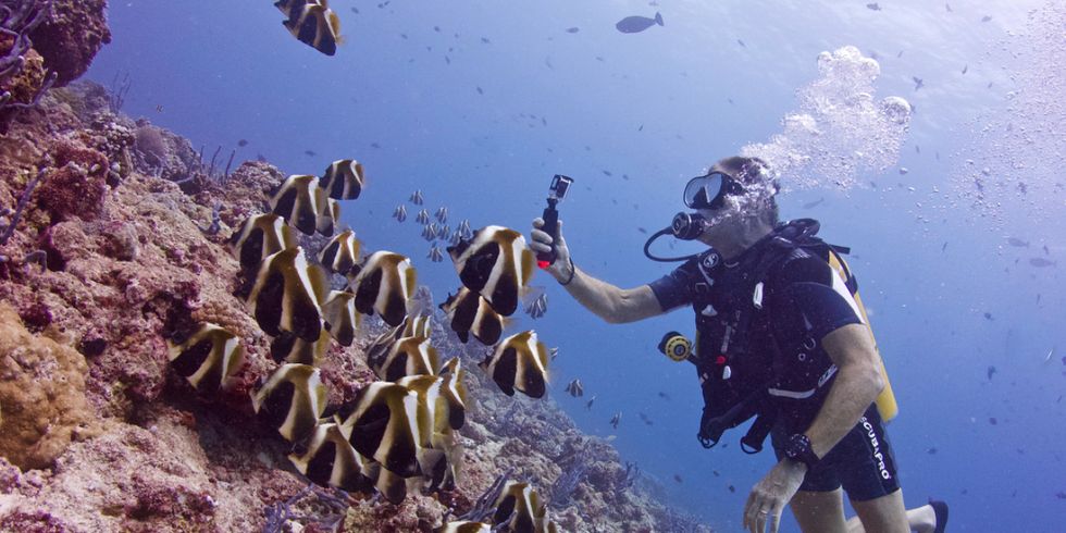 Underwater, Scuba diving, Underwater diving, Marine biology, Coral reef, Reef, Organism, Recreation, Divemaster, Diving, 