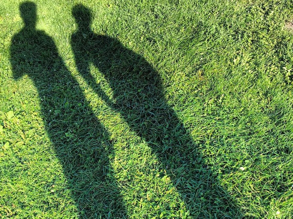 Grass, Green, People in nature, Shadow, Sunlight, Groundcover, Lawn, 