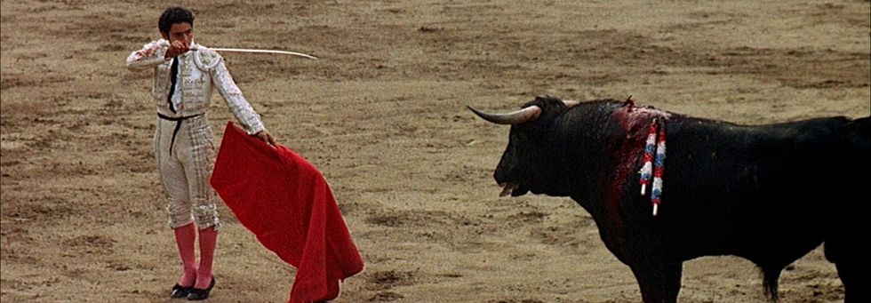 Bull, Bullfighting, Sport venue, Bovine, Matador, Animal sports, Horn, Entertainment, Bullring, Tradition, 