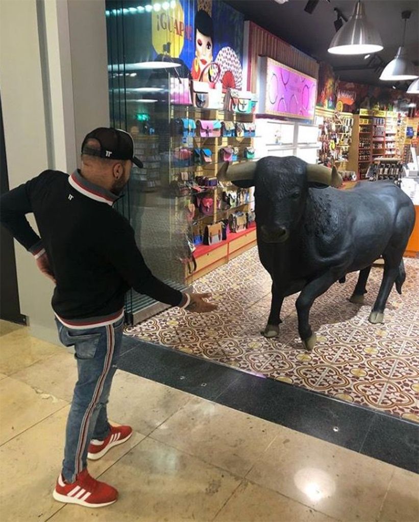 Bovine, Shopping, Working animal, Fun, Tourism, Temple, Shopping mall, Vacation, Retail, Bull, 