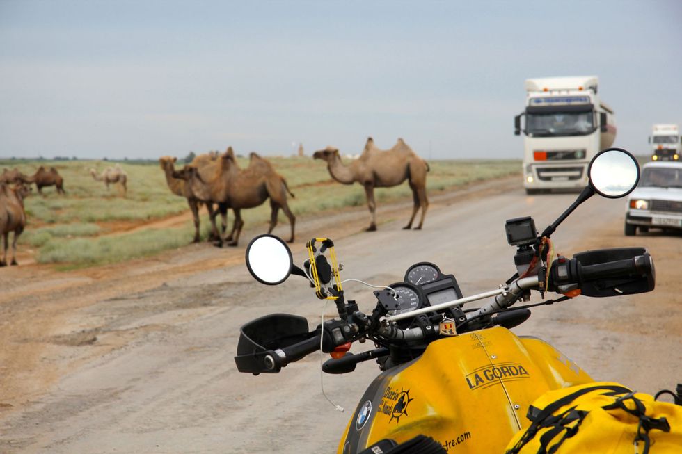 Camel, Mode of transport, Camelid, Natural environment, Arabian camel, Vehicle, Desert, Landscape, Ecoregion, Sand, 