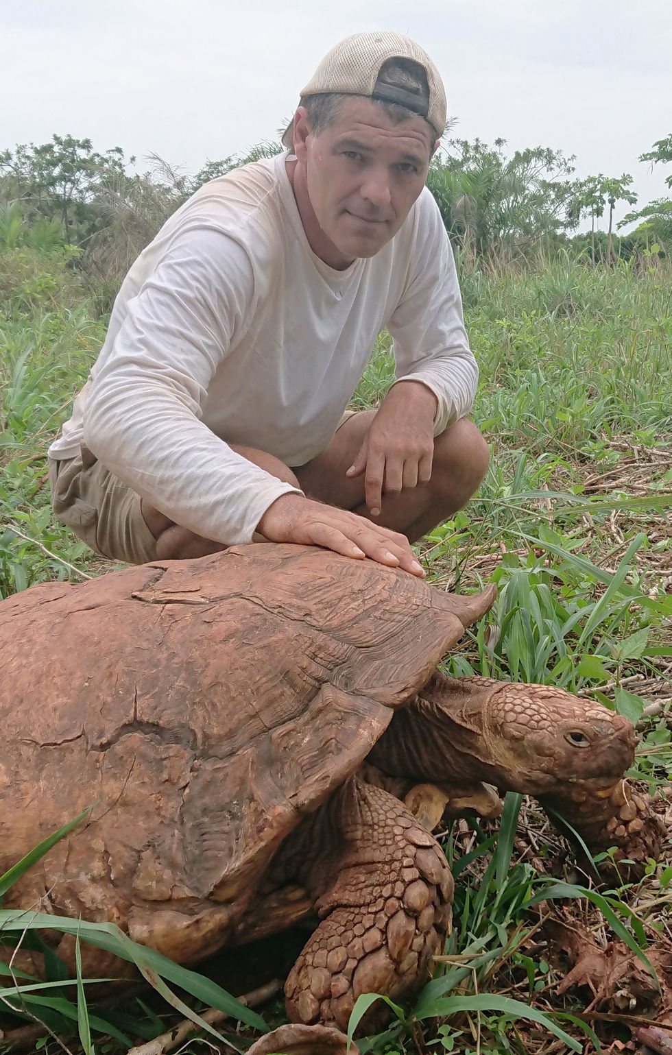 Tortoise, Turtle, Reptile, Galápagos tortoise, Gopher Tortoise, Adaptation, Desert tortoise, Terrestrial animal, Soil, Plant community, 