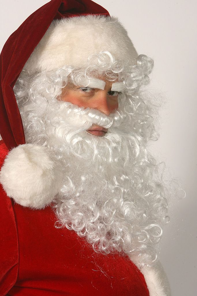 Facial hair, Santa claus, Beard, Christmas, Fictional character, Wig, Moustache, 