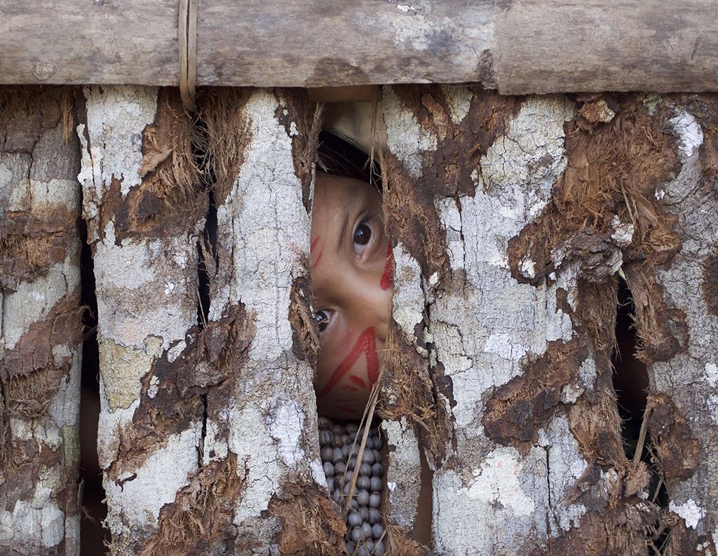 Face, Tree, Eye, Child, Wood, Adaptation, Trunk, Plant, 