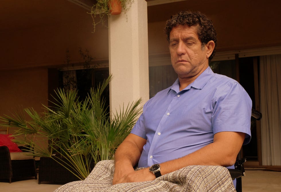 Dress shirt, Wrist, Collar, Watch, Sitting, Houseplant, Lap, Dress shirt, Wrist, Collar, Watch, Sitting, Houseplant, Lap,