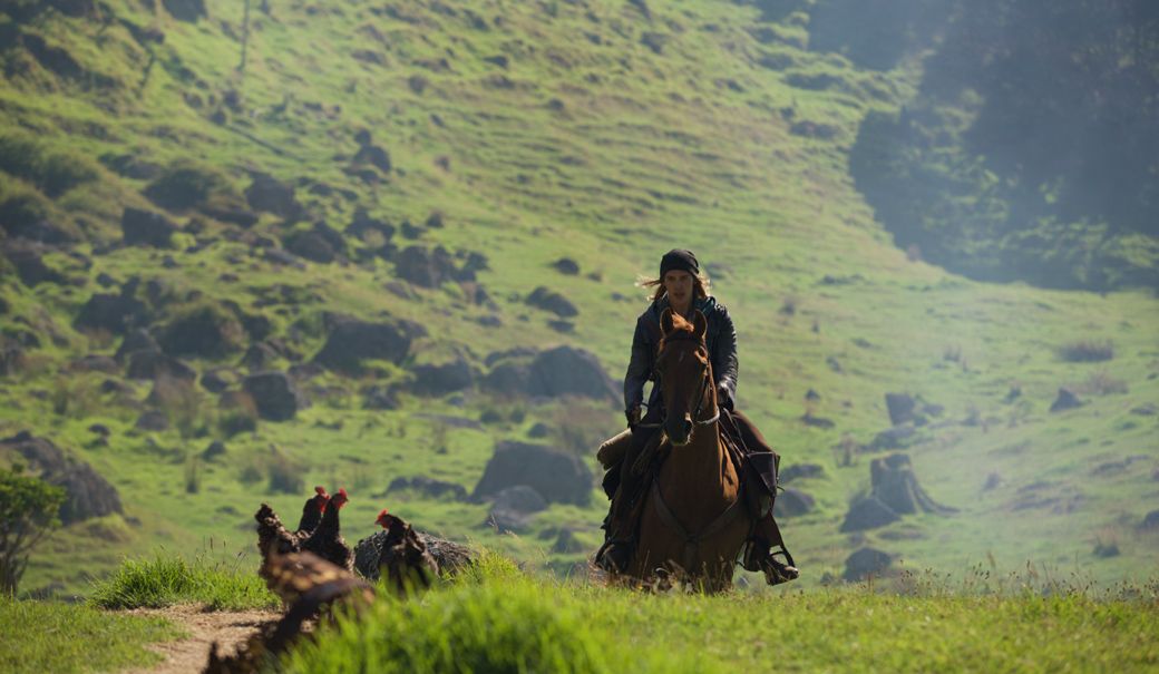 Human, Working animal, Liver, Grassland, Horse tack, Saddle, Horse, Boot, Trail riding, Rein, 