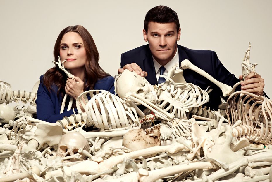 Bone, Skeleton, Skull, Natural material, Rib, Anthropology, 