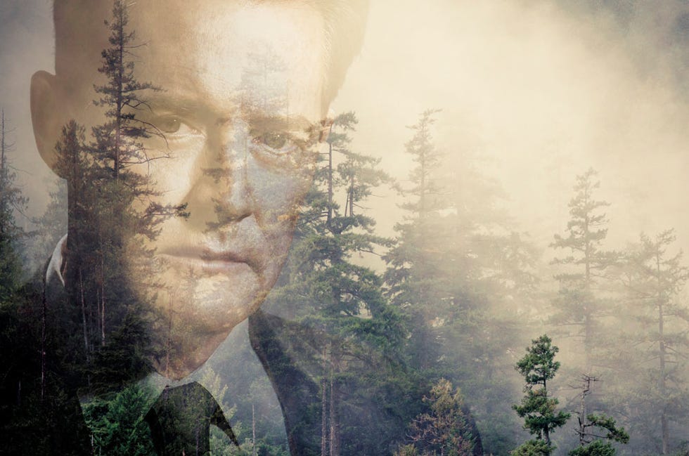 Forest, Atmospheric phenomenon, Evergreen, Painting, Northern hardwood forest, Spruce-fir forest, Artwork, Fog, Visual arts, Old-growth forest, Forest, Atmospheric phenomenon, Evergreen, Painting, Northern hardwood forest, Spruce-fir forest, Artwork, Fog, Visual arts, Old-growth forest,