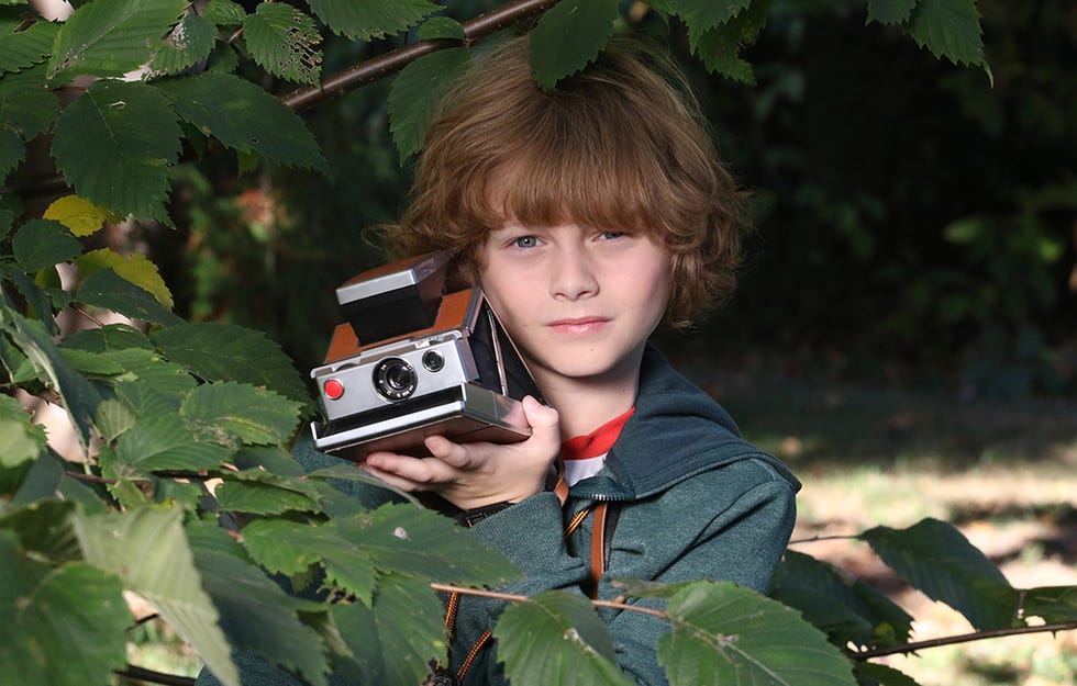 Camera, Cameras & optics, Tree, Leaf, Photography, Digital camera, Camera accessory, Reflex camera, Plant, Single-lens reflex camera, 