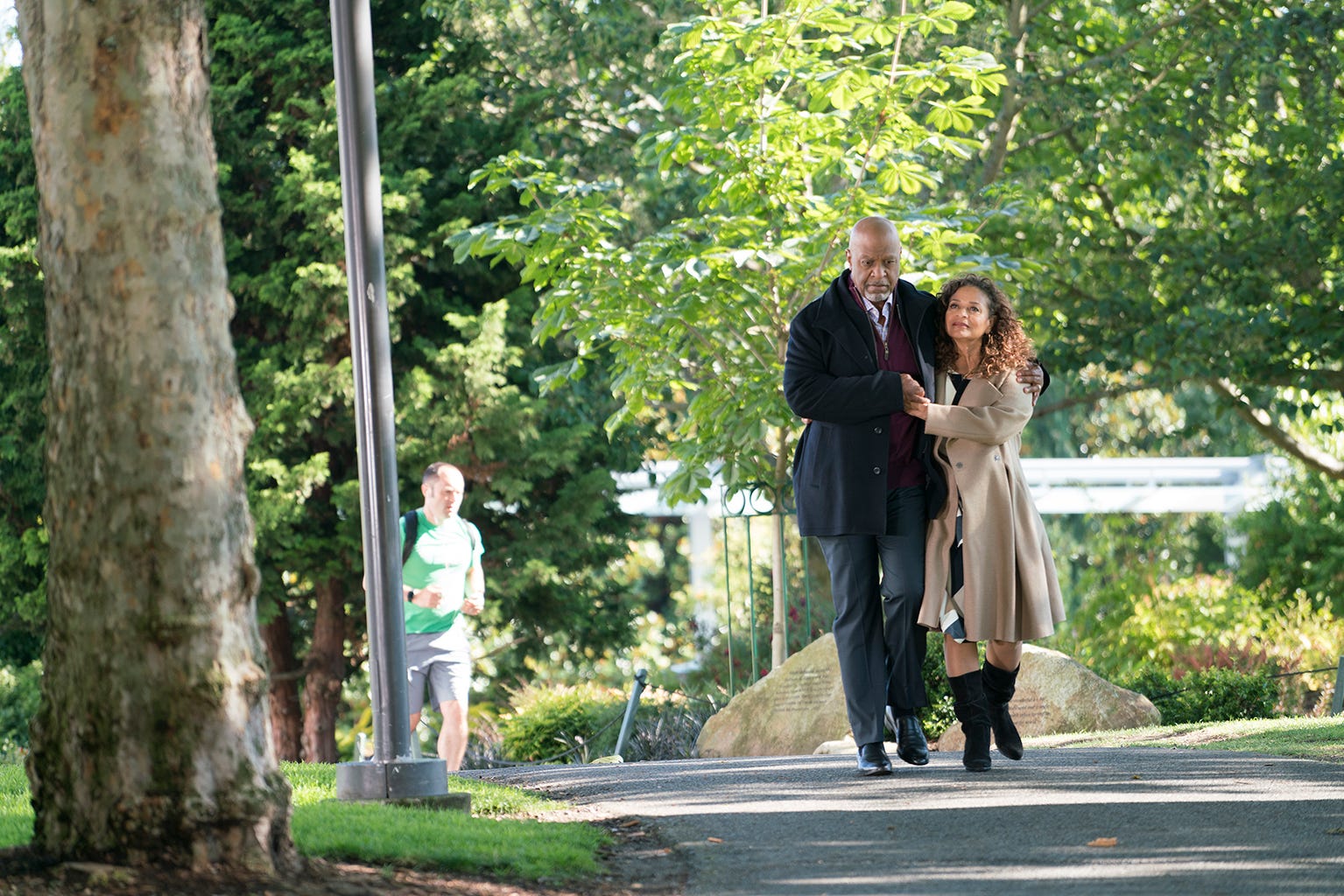 Photograph, Ceremony, Wedding, Tree, Botany, Event, Photography, Woodland, Dress, Walking, 
