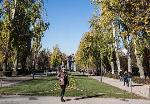 Tree, Yellow, Daytime, Sky, Public space, Woody plant, Autumn, Leaf, Urban area, Street, 
