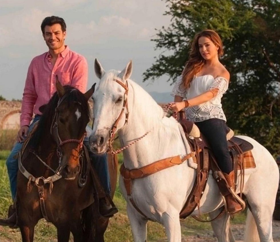 Human, People, Bridle, Halter, Horse supplies, Vertebrate, Recreation, Rein, Horse, Horse tack, 