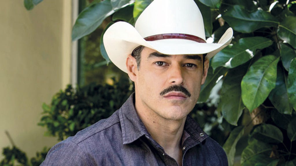 Hat, Chin, Headgear, Fashion accessory, Plant, Fedora, Cowboy hat, Facial hair, 