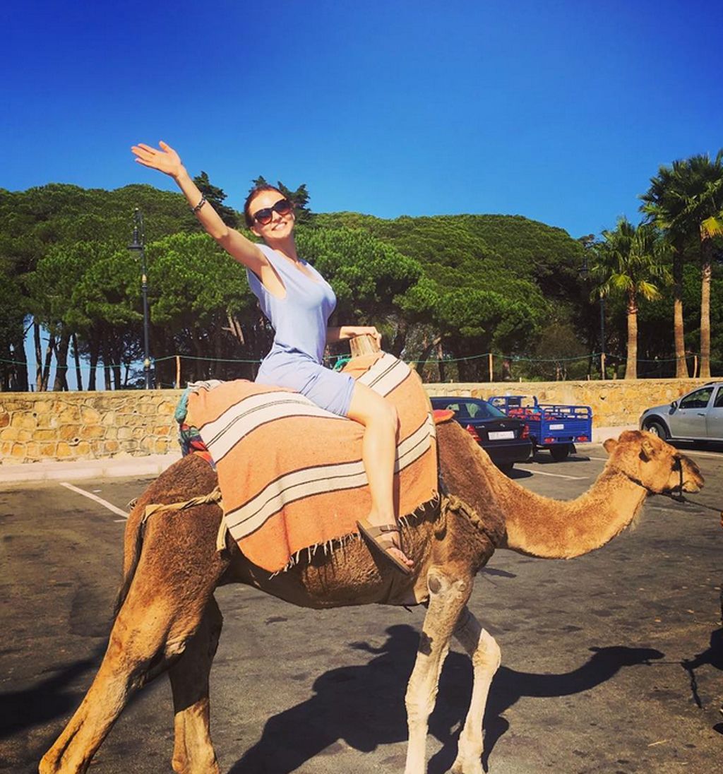 Natural environment, Vertebrate, Landscape, Camelid, Adaptation, Terrestrial animal, Neck, Vacation, Fawn, Working animal, 