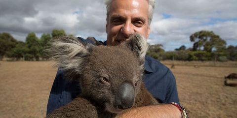 eric ripert koala