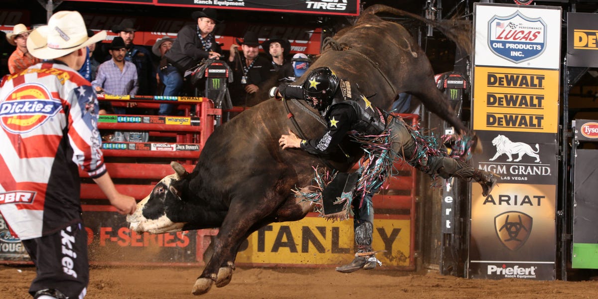 Shane Proctor Bull-Riding Interview - What It Feels Like to Ride the ...