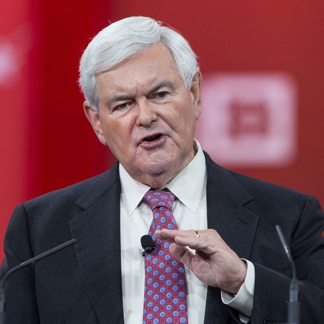 Newt Gingrich February 2015