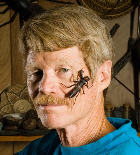 Dr. Justin Schmidt with insect Dr. Justin Schmidt with insect