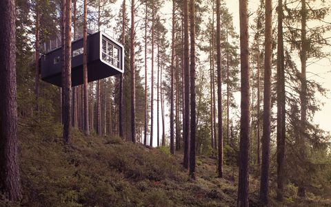 <p><strong>Location:</strong> Harads, Sweden, in the heart of Swedish Lapland</p><p><strong>The experience:</strong> A stunning hotel suspended in air, sort of like a high-end Ikea treehouse. Activities range from dog sledding in the winter to horseback riding and hiking in summer. </p><p><strong>Don't miss: </strong><strong></strong>A nighttime safari to see the majestic northern lights.</p><p><strong>Learn more:</strong> <a href="http://treehotel.se/" target="_blank">Treehotel</a></p>