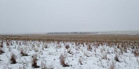 Winter, Plain, Ecoregion, Atmospheric phenomenon, Freezing, Snow, Field, Grass family, Agriculture, Tundra, 